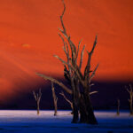 Home Namibia